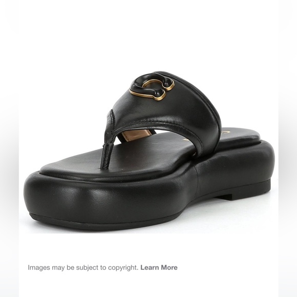 Coach slides - Picture 3 of 4